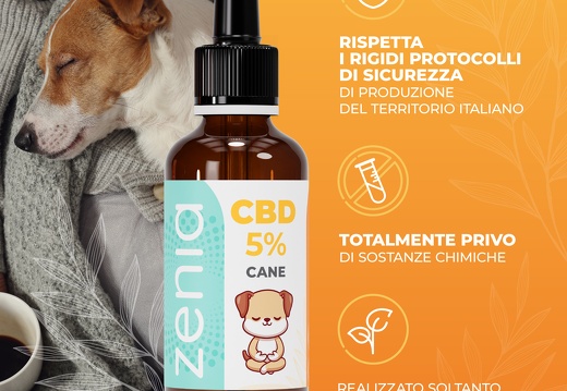 Olio Cane banner