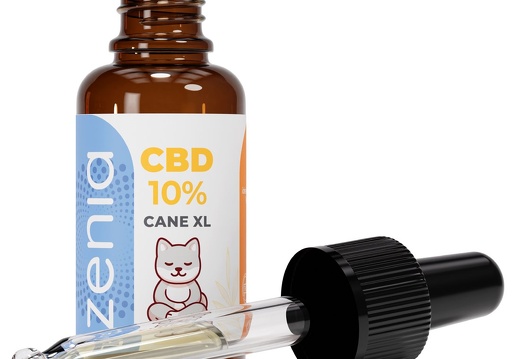 Olio Cane XL CBD 10