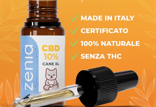 Olio Cane XL banner2