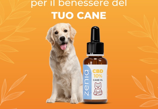 Olio Cane XL banner5