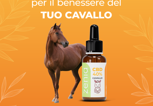 Olio Cavallo 40    Banner3