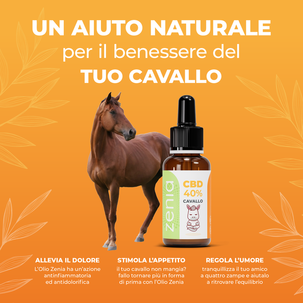 Olio_Cavallo_40____Banner3.png