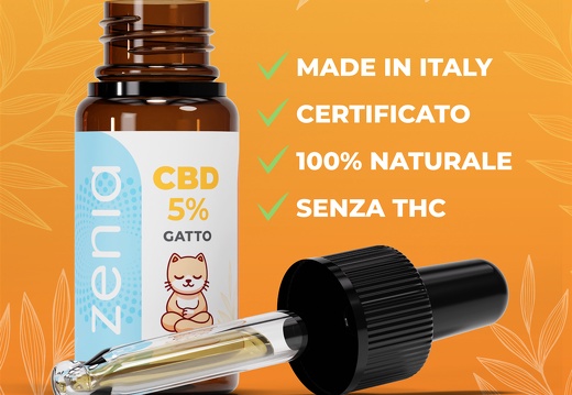 Olio Gatto 5    Banner