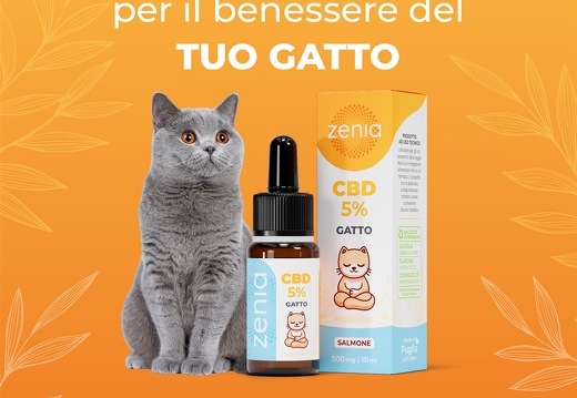 Olio Gatto